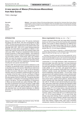 A New Species of <I>Maesa</I> (<I>Primulaceae-Maesoideae</I>)