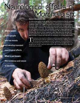 Some People Who Eat Morels Will Develop Transient Neurological Effects, with the Onset Around 12 Hours