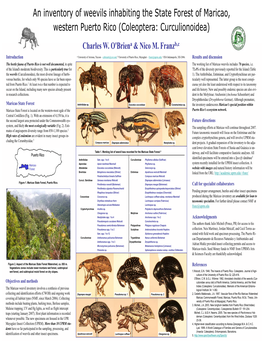 An Inventory of Weevils Inhabiting the State Forest of Maricao, Western Puerto Rico (Coleoptera: Curculionoidea) Charl Es W