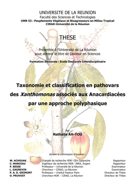 Taxonomie Et Classification En Pathovars Des Xanthomonas Associés Aux Anacardiacées Par Une Approche Polyphasique