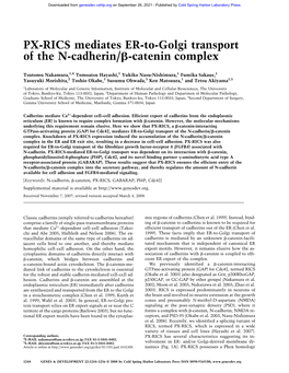 PX-RICS Mediates ER-To-Golgi Transport of the N-Cadherin/␤-Catenin Complex