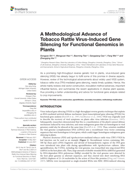 A Methodological Advance of Tobacco Rattle Virus-Induced Gene Silencing for Functional Genomics in Plants