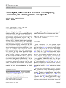 Effects of Pco on the Interaction Between an Excavating Sponge