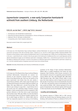 Leymeriaster Campestris, a New Early Campanian Hemiasterid Echinoid from Southern Limburg, the Netherlands*
