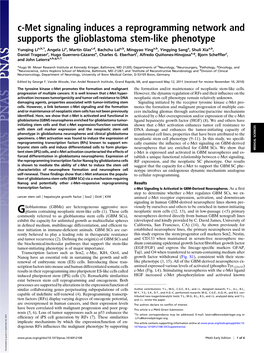 C-Met Signaling Induces a Reprogramming Network and Supports the Glioblastoma Stem-Like Phenotype