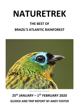 THE BEST of BRAZIL's ATLANTIC RAINFOREST 25Th JANUARY