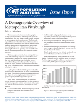 A Demographic Overview of Metropolitan Pittsburgh Peter A