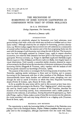 The Mechanism of Burrowing of Some Naticid Gastropods in Comparison with That of Other Molluscs