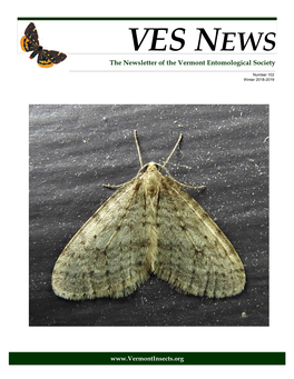 VES NEWS the Newsletter of the Vermont Entomological Society