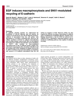 EGF Induces Macropinocytosis and SNX1-Modulated Recycling of E-Cadherin