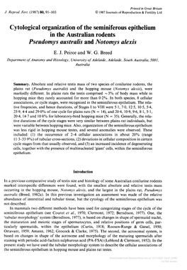 Cytological Organization of the Seminiferous Epithelium in the Australian Rodents Pseudomys Australis and Notomys Alexis E