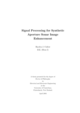 Signal Processing for Synthetic Aperture Sonar Image Enhancement