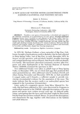 A New Genus of Winter Moths (Geometridae) from Eastern California and Western Nevada