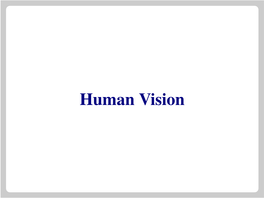 Human Vision the Visual System