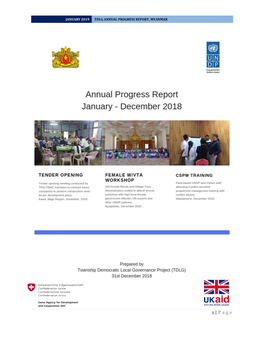 TDLG Annual Report 2018.Pdf