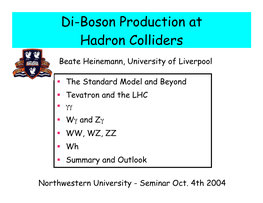 Di-Boson Production at Hadron Colliders