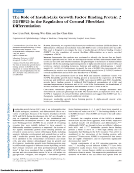 The Role of Insulin-Like Growth Factor Binding Protein 2 (IGFBP2) in the Regulation of Corneal Fibroblast Differentiation