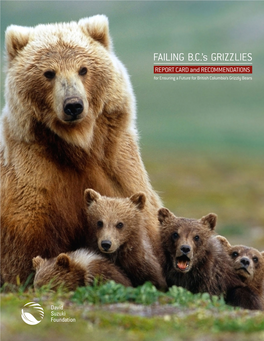 Failing B.C.'S Grizzlies