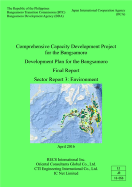 Comprehensive Capacity Development Project for the Bangsamoro Development Plan for the Bangsamoro Final Report Sector Report 3