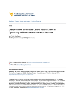 Grainyhead-Like 2 Sensitizes Cells to Natural Killer Cell Cytotoxicity and Promotes the Interferon Response