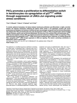 PKC&Eta; Promotes a Proliferation to Differentiation Switch In