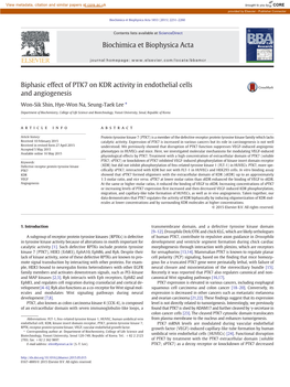 Biphasic Effect of PTK7 on KDR Activity in Endothelial Cells and Angiogenesis