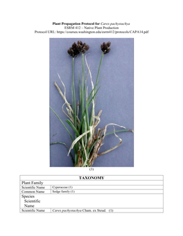 Draft Plant Propagation Protocol