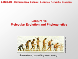 Molecular Evolution, Tree Building, Phylogenetic Inference