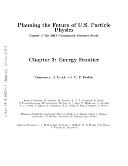 Planning the Future of U.S. Particle Physics Chapter 3: Energy Frontier