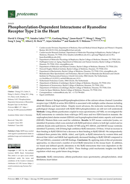 Phosphorylation-Dependent Interactome of Ryanodine Receptor Type 2 in the Heart