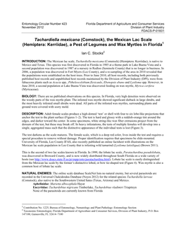 Tachardiella Mexicana (Comstock), the Mexican Lac Scale (Hemiptera: Kerriidae), a Pest of Legumes and Wax Myrtles in Florida1