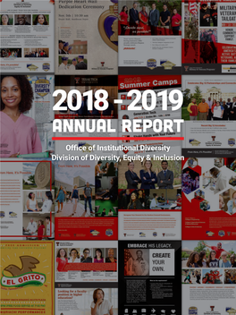 2018-2019 Annual DDEI Report