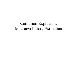 Cambrian Explosion, Macroevolution, Extinction Recap