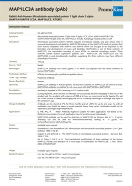 MAP1LC3A Antibody (Pab)