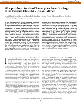 Microphthalmia Associated Transcription Factor Is a Target of the Phosphatidylinositol-3-Kinase Pathway