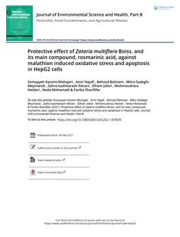 Protective Effect of Zataria Multiflora Boiss. and Its Main Compound, Rosmarinic Acid, Against Malathion Induced Oxidative Stress and Apoptosis in Hepg2 Cells