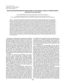 Resolving Deep Phylogenetic Relationships in Salamanders: Analyses of Mitochondrial and Nuclear Genomic Data