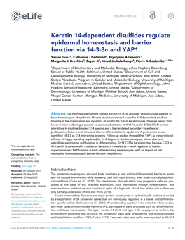 Keratin 14-Dependent Disulfides Regulate Epidermal Homeostasis and Barrier Function Via 14-3-3S and YAP1