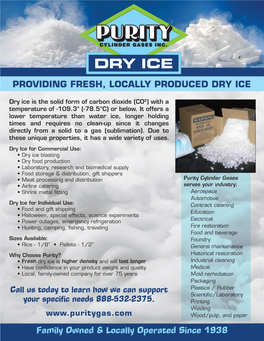 Purity Dry Ice Flyer