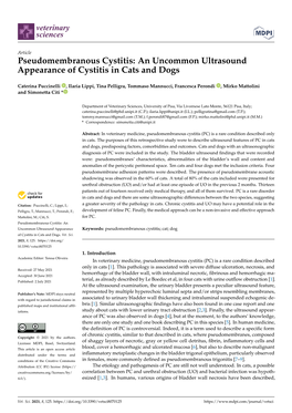 Pseudomembranous Cystitis: an Uncommon Ultrasound Appearance of Cystitis in Cats and Dogs