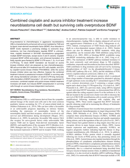 Combined Cisplatin and Aurora Inhibitor Treatment Increase