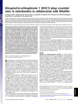 DISC1) Plays Essential Roles in Mitochondria in Collaboration with Mitoﬁlin