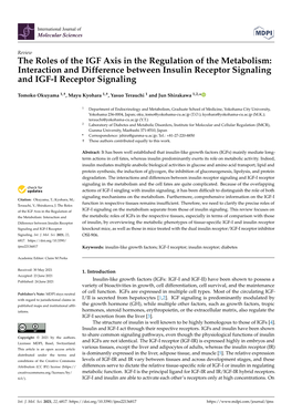 The Roles of the IGF Axis in the Regulation of the Metabolism: Interaction and Difference Between Insulin Receptor Signaling and IGF-I Receptor Signaling