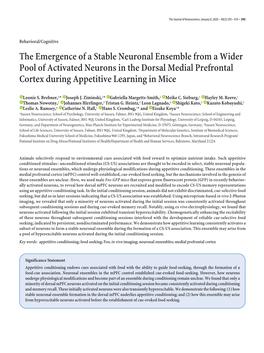 The Emergence of a Stable Neuronal Ensemble from a Wider Pool of Activated Neurons in the Dorsal Medial Prefrontal Cortex During Appetitive Learning in Mice