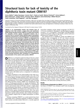 Structural Basis for Lack of Toxicity of the Diphtheria Toxin Mutant CRM197