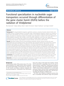 Functional Specialization in Nucleotide Sugar Transporters Occurred Through Differentiation of the Gene Cluster Eama