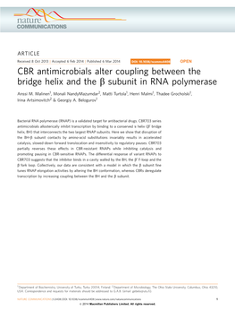Subunit in RNA Polymerase