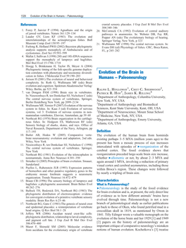 Evolution of the Brain in Humans – Paleoneurology