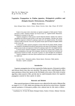 Vegetative Propagation in Padina Japonica, Dictyopteris Prolifera and Dictyota Linearis 77