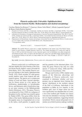 Valvatida: Ophidiasteridae) from the Eastern Pacific: Redescription and Skeletal Morphology